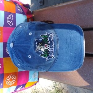 Vtg Twins Enterprise NBA Minnesota Timberwolves Thick  Embroidered Strap-on Hat